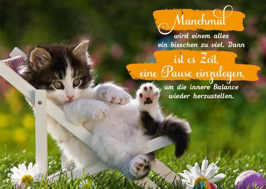 Tierpostkarte mit Lebensweisheit: Wenn alles zu viel wird, finde Ruhe und Gelassenheit
