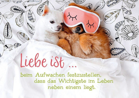 Tierpostkarte mit Liebesspruch - Das Wichtigste im Leben liegt neben dir beim Aufwachen