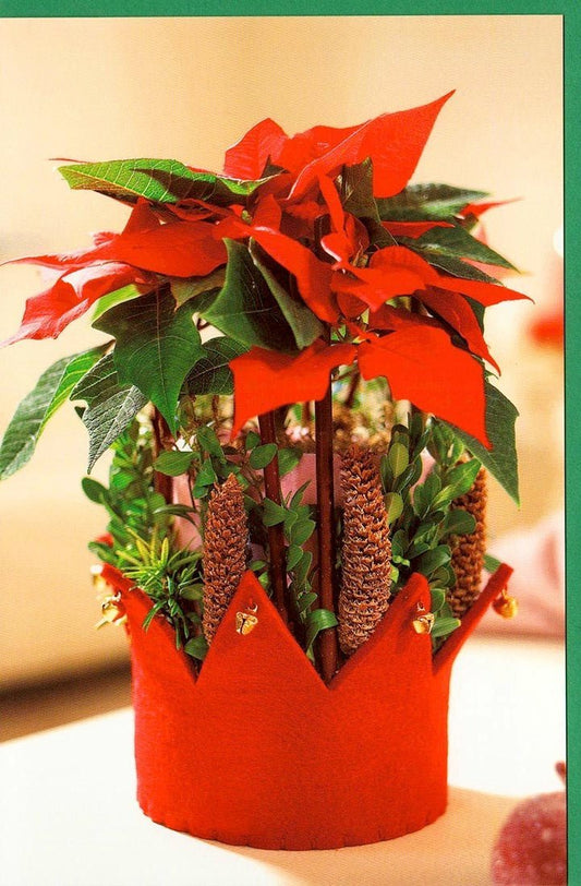 Traditionelle Weihnachtskarte mit rotem Blumen - und Kronenmotiv