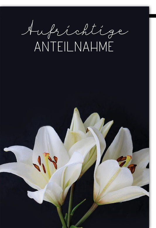 Trauerkarte Aufrichtige Anteilnahme – Elegante Beileidskarte mit weißen Lilien auf schwarzem Hintergrund für Trauerfälle