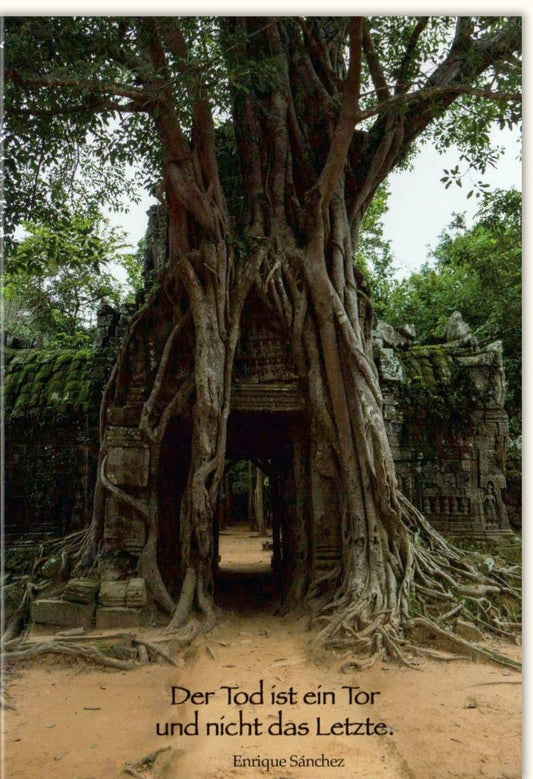 Trauerkarte Beileid & Anteilnahme - Baum - Motiv, Tröstende Worte für Hoffnung und Gedenken