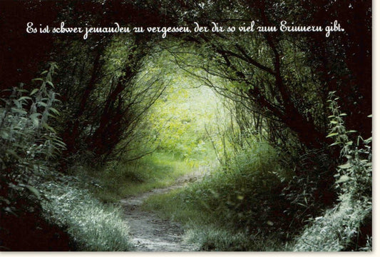 Trauerkarte Beileid & Anteilnahme - Naturmotiv Baum, Licht & Schatten, Friedliche Stille für Hoffnung und Gedenken