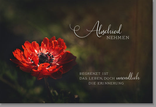 Trauerkarte Beileid & Anteilnahme - Stilvolle Karte mit Roter Blume, Naturmotiv in Dunkelrot & Schwarz für Trost und Erinnerung
