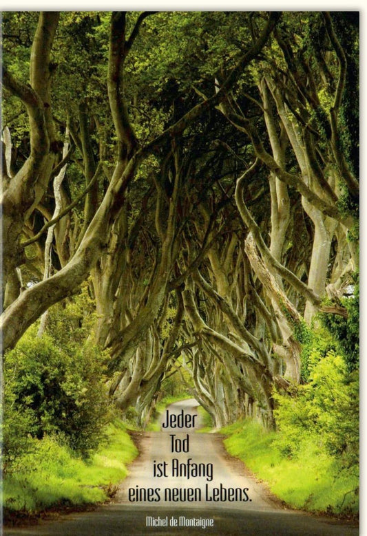 Trauerkarte Beileid - Baumallee Naturweg mit Montaigne - Zitat, Trost & Hoffnung, Spiritualität und Lebensweg