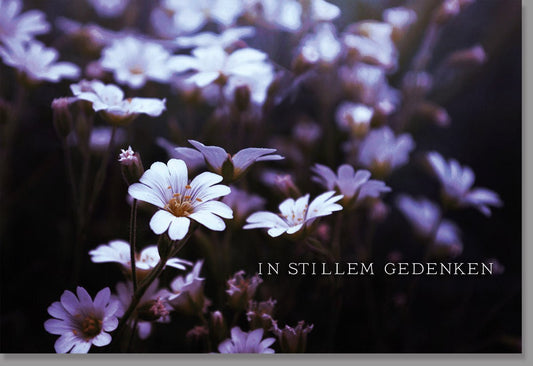 Trauerkarte Beileid - Elegante Blumenwiese in Lila - Weiß für stilvolles Gedenken und Mitgefühl, Erwachsene & Senioren