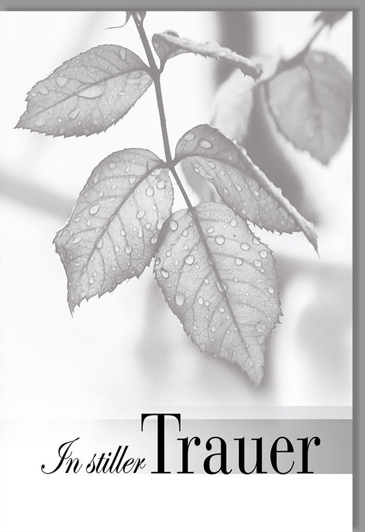 Trauerkarte Beileid - Elegantes Rosenblatt - Design in Schwarz - Weiß, Mitfühlende Kondolenztexte für Freunde und Familie