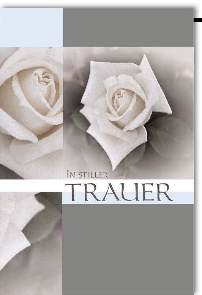 Trauerkarte Beileid - Stilvolle Quadratische Karte mit Eleganter Schwarz - Weiß Rose für Abschied und Gedenken