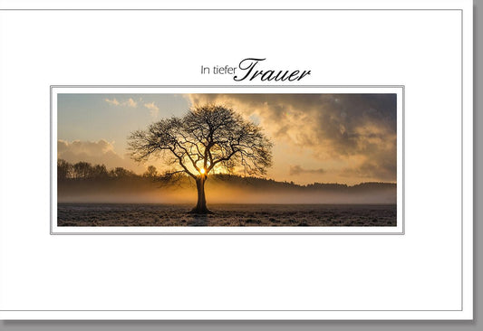 Trauerkarte - Elegante Gedenkkarte mit Baum - Motiv bei Sonnenuntergang, Natur & Wiese in Orange - Braun für einfühlsame Anteilnahme