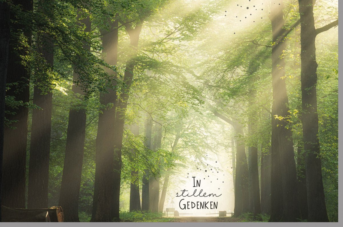 Trauerkarte "Friedlicher Waldweg" – Hoffnung & Licht im Abschied, Naturmotiv für stille Gedenkmomente, 150x150mm