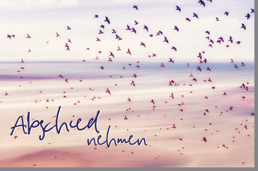 Trauerkarte für Anteilnahme: Friedvolle Kondolenz mit Himmelsvögeln - Stille und Gedenken voller Liebe