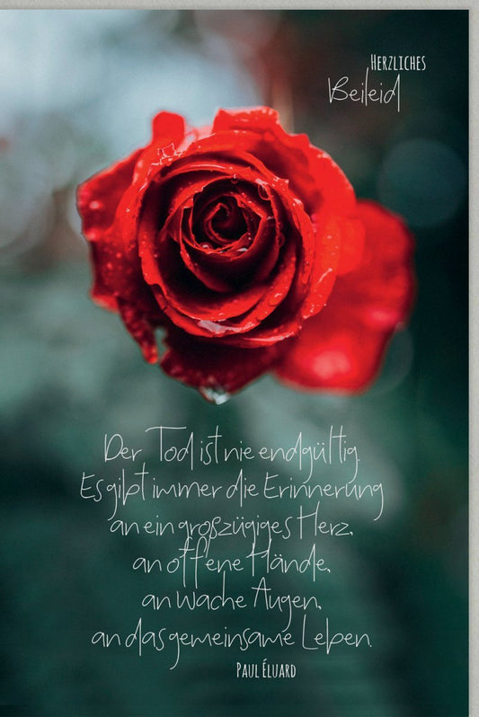 Trauerkarte für Mitgefühl - Kondolenz mit Spruch, Rote Rose Motiv, Abschied & Gedenken
