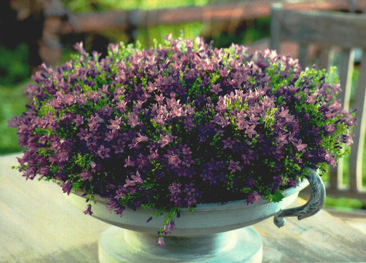 Trauerkarte mit lila Blumenstrauß auf Holztisch stilvolle Kunstpostkarte für Beileid und Anteilnahme hochwertige Postkarte