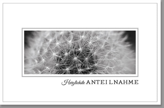 Trauerkarte mit Pusteblume und Schriftzug "Herzliche Anteilnahme" im stilvollen Schwarz - Weiß - Design, hochwertige Papierqualität