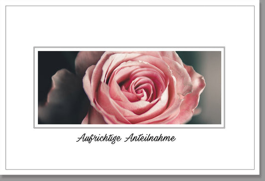 Trauerkarte mit Rose - Stilvolle Beileidskarte "Aufrichtige Anteilnahme" für Trauerfälle, hochwertige Verarbeitung