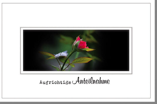 Trauerkarte mit roter Rose & Feder - Stilvolle Kondolenz in Schwarz - Weiß - Rot für Abschied und Gedenken