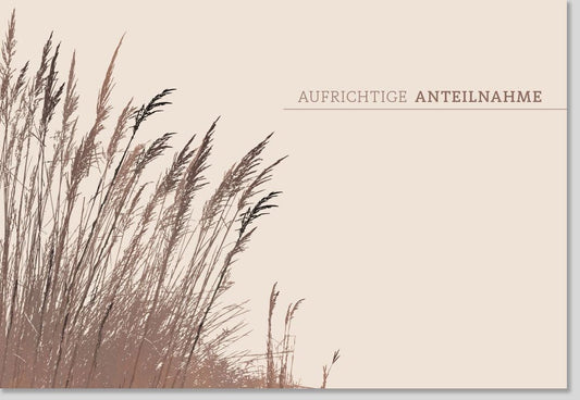 Trauerkarte mit Schilf & Gras - Stilvolles Naturdesign in Beige für Mitgefühl und Anteilnahme im Trauerfall