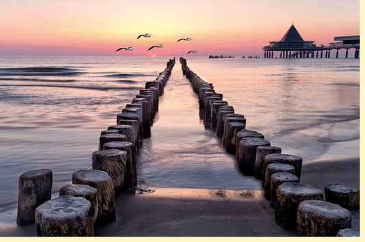 Trauerkarte mit Sonnenuntergang am Meer und Möwen auf hochwertigem Blanko Doppelkartenkarton für persönliche Abschiedsgrüße