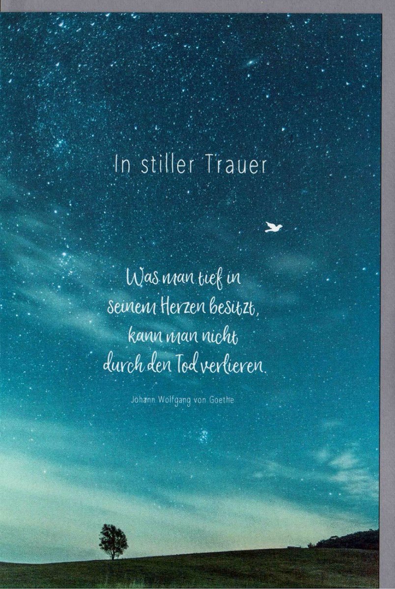 Trauerkarte mit Sternenhimmel - Motiv – Kondolenzkarte Natur, Goethe Zitat, Baum & Vogel für Trost und Hoffnung