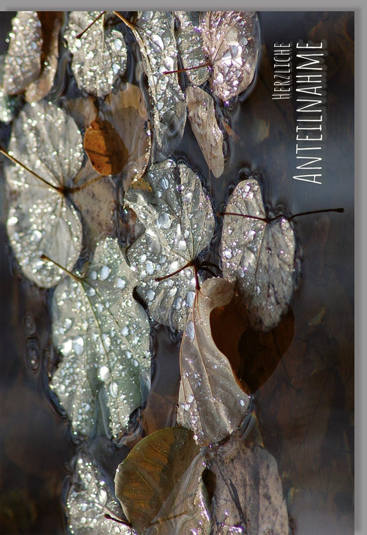 Trauerkarte mit stilvollem Blättermotiv und Tautropfen edle Doppelkarte mit Umschlag für persönliche Beileidsbekundung