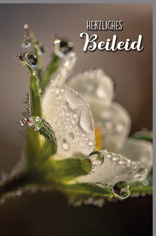 Trauerkarte mit Wassertropfen & Blütenmotiv - Schlichte Kondolenz für Trost und Gedenken