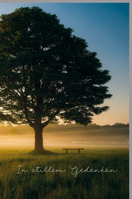 Trauerkarte - Naturmotiv mit Baum & Bank, Sonnenaufgang für Frieden, inkl. Textvorschläge für Beileid & Abschied
