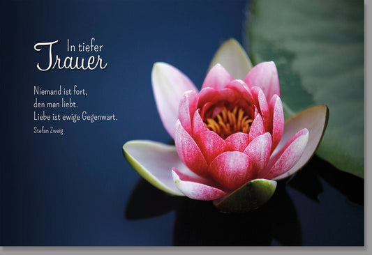 Trauerkarte zur Anteilnahme: Seerose der Erinnerung - Elegantes Naturmotiv für Trost und Frieden