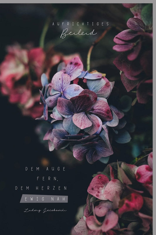 Trauerkarte zur Anteilnahme - Stilvolle Karte mit lila & rosa Blumen, Kondolenzspruch "Dem Auge fern, dem Herzen nah" für Erwachsene und Freunde