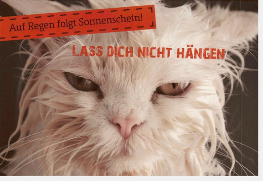 Trostkarte für schwere Zeiten: Hoffnung und Zuversicht mit süßer Katze - Mut und Liebe schenken