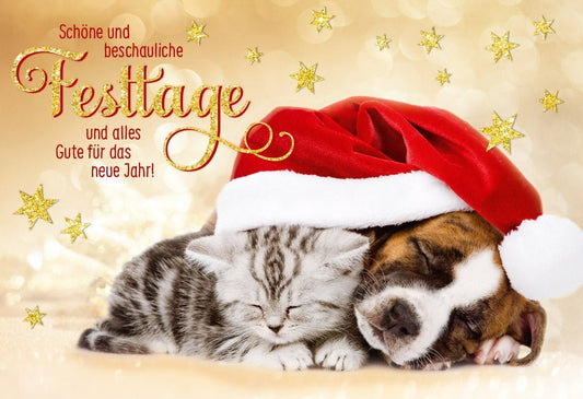 Weihnachtsgrußkarte: Hund & Katze - Herzliche Feiertagswünsche voller Liebe, Familie und Harmonie