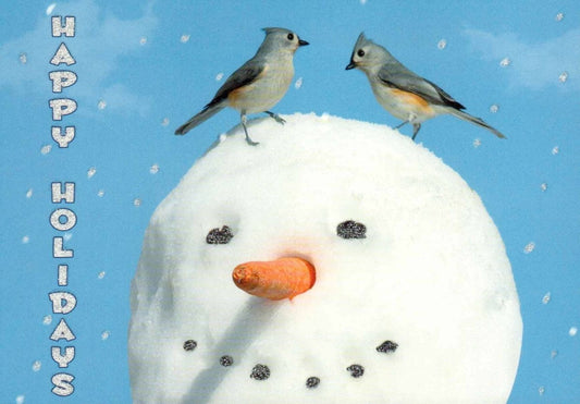 Weihnachtspostkarte mit Vögeln & Schneemann – "Happy Holidays", Winterhimmel, Festliche Grüße, Niedliche Weihnachtskarte