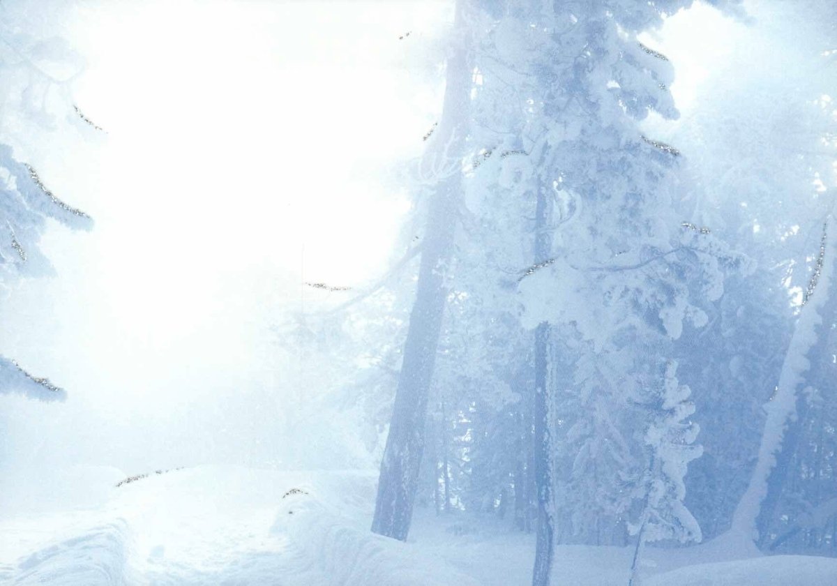 Weihnachtspostkarte Winterlandschaft mit Bäumen im Schnee