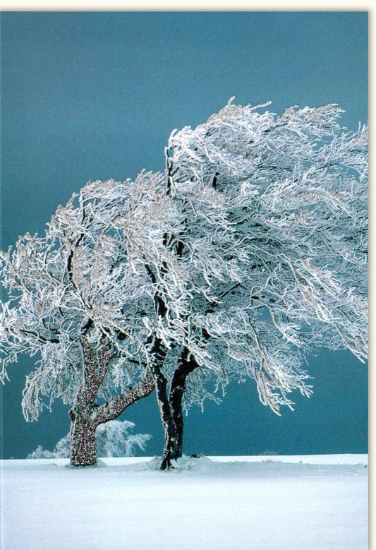 Winterliche Blankokarte: Glitzernde Schneelandschaft, Naturfotografie für Ruhe & Entspannung, 150g/m²