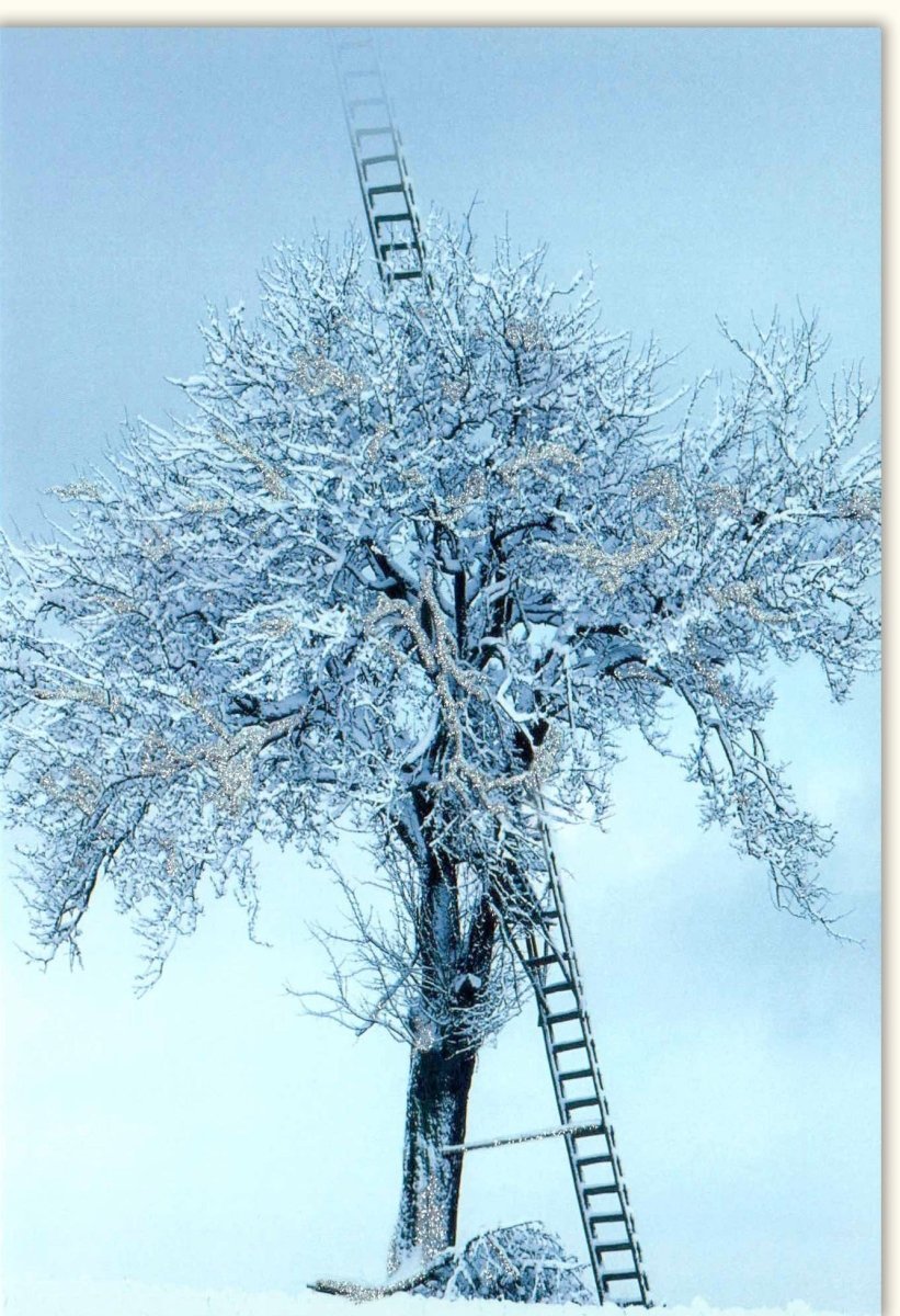Winterliche Blankokarte - Idyllische Landschaft mit Baum, Schnee & Eisleiter, Perfekt für die kalte Jahreszeit
