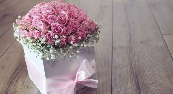 Genesungskarte schreiben: 165+ Sprüche, Texte & Tipps