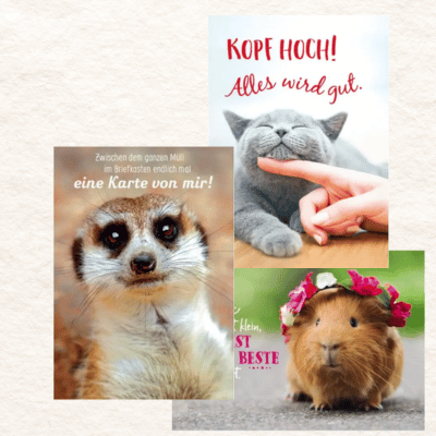 Tierpostkarten