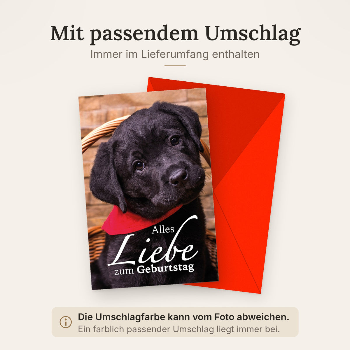 Doppelkarte mit farblich passendem Umschlag