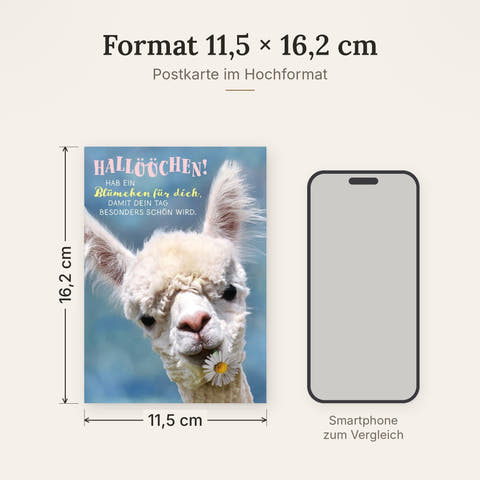 Postkarte im Format 11,5 x 16,2 cm, Größenvergleich mit Smartphone