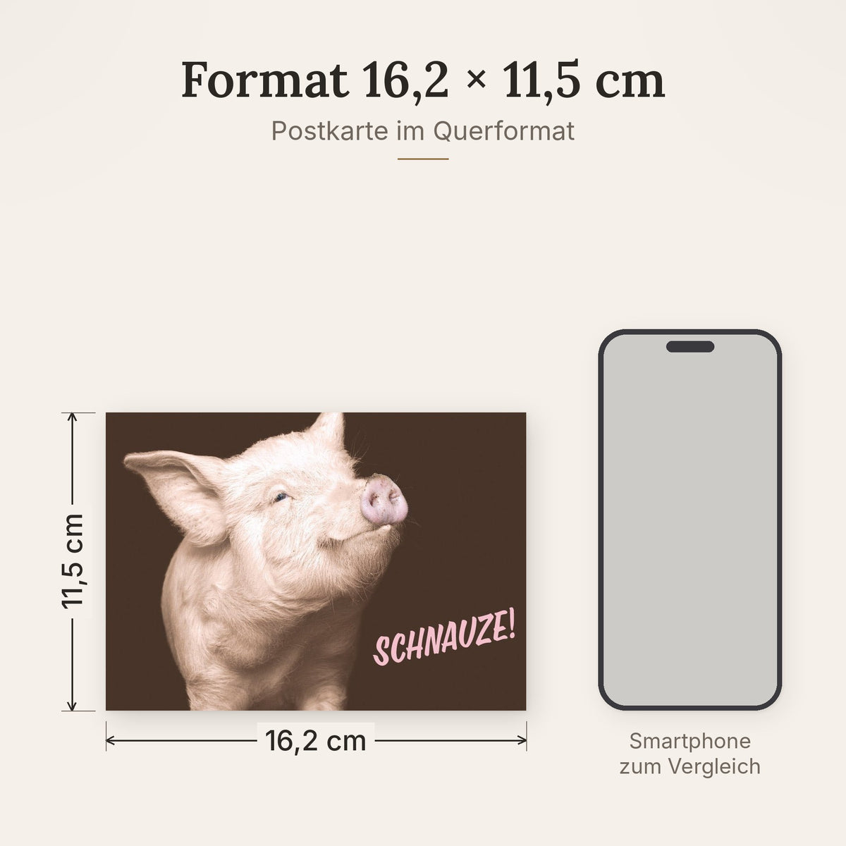 Postkarte im Format 16,2 x 11,5 cm, Größenvergleich mit Smartphone