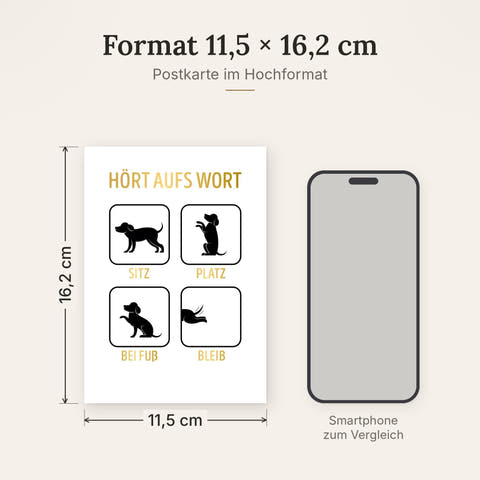 Postkarte im Format 11,5 x 16,2 cm, Größenvergleich mit Smartphone