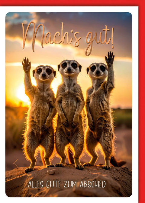 Abschiedskarte Kollegen – Erdmännchen Trio im Sonnenuntergang mit humorvollem Gruß
