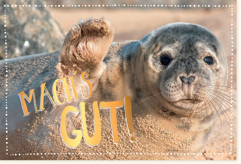 Abschiedskarte mit Seehund am Strand - "Machs gut" Gruß für Meerliebhaber, Niedliche Robbe zur Verabschiedung