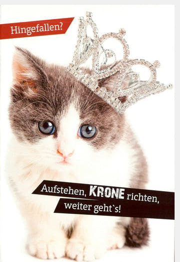 Aufmunterungskarte "Krone Richten & Weitergehen" - Niedliche Katze, Resilienz & Humor für positive Gedanken und Freude schenken
