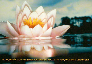 Besinnliche Sprüche - Postkarte - Seerose & Wasser, Naturmotiv für Ruhe und Veränderung, Postkarten - Sprüche
