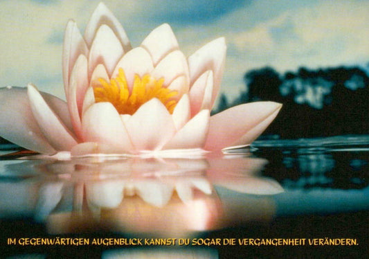 Besinnliche Sprüche - Postkarte - Seerose & Wasser, Naturmotiv für Ruhe und Veränderung, Postkarten - Sprüche