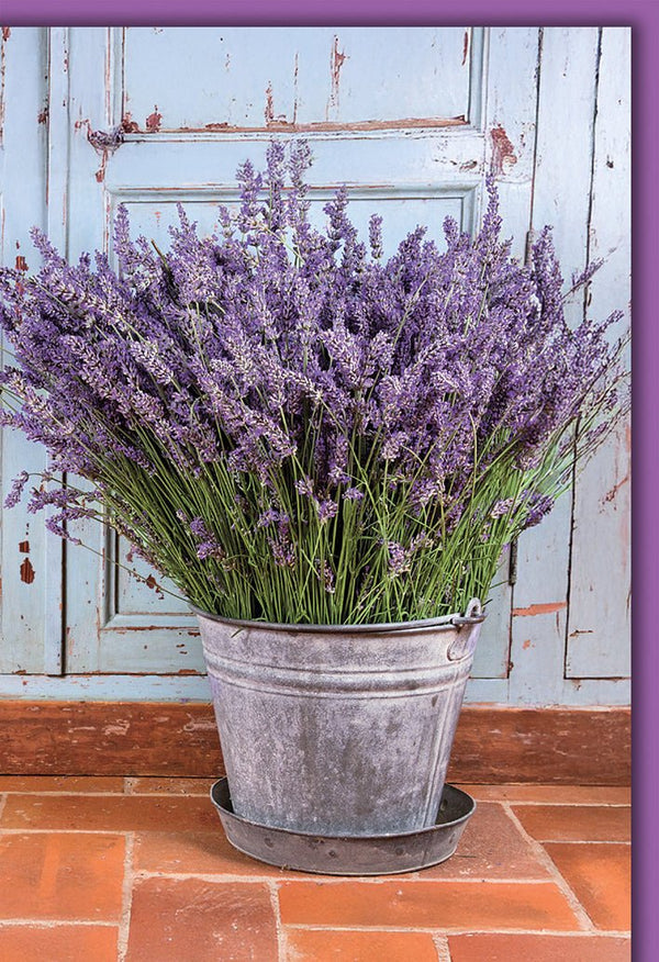 Blanko Grußkarte Blumen – Lavendel im Vintage-Eimer vor blauer Holztür