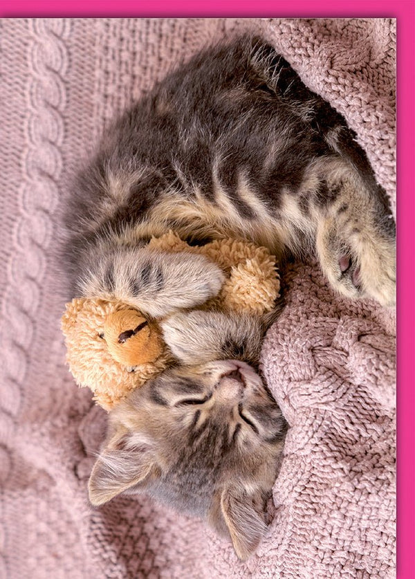 Blanko-Karte Tiere – Schlafendes Kätzchen mit Teddybär auf Strickdecke in Rosa
