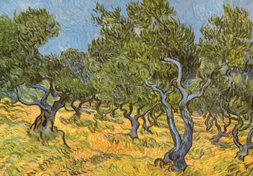 Blanko Postkarte - Van Gogh Olivenhain, Impressionismus Kunst in Grün und Gelb, Vintage Landschaftsmalerei als Sammlerstück & Dekoration Geschenk