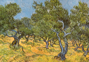Blanko Postkarte - Van Gogh Olivenhain, Impressionismus Kunst in Grün und Gelb, Vintage Landschaftsmalerei als Sammlerstück & Dekoration Geschenk