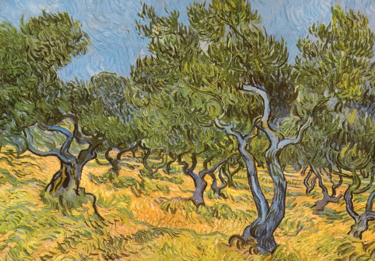 Blanko Postkarte - Van Gogh Olivenhain, Impressionismus Kunst in Grün und Gelb, Vintage Landschaftsmalerei als Sammlerstück & Dekoration Geschenk