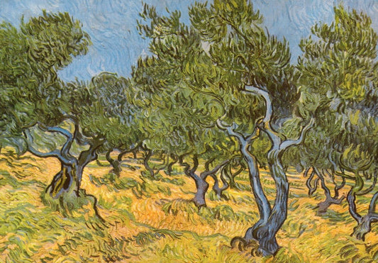 Blanko Postkarte - Van Gogh Olivenhain, Impressionismus Kunst in Grün und Gelb, Vintage Landschaftsmalerei als Sammlerstück & Dekoration Geschenk